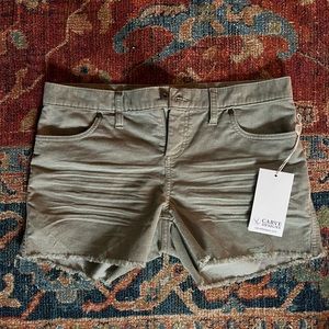 Carve Designs corduroy shorts